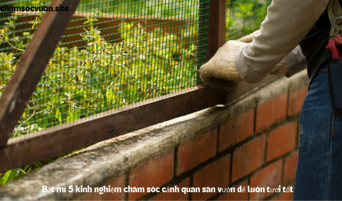 Bật mí 5 kinh nghiệm chăm sóc cảnh quan sân vườn để luôn tươi tốt