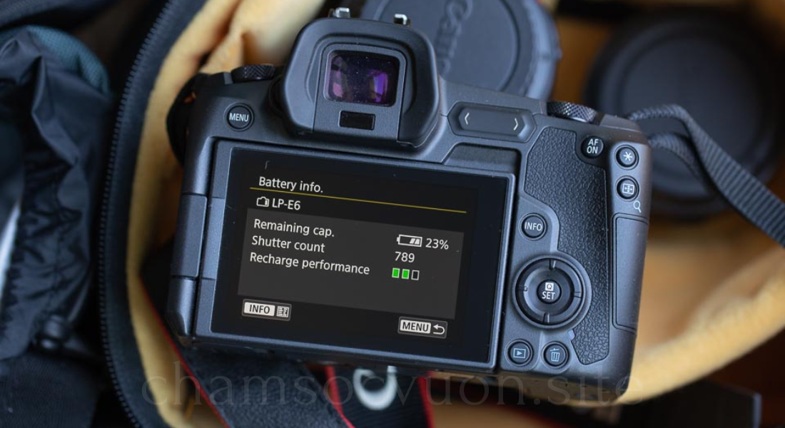 Canon Camera Battery Life: Tips, Tricks, and Recommendations for Maximum Performance