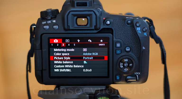 Canon Camera Settings for Portraits: A Complete Guide to Capturing Stunning Portrait Photography